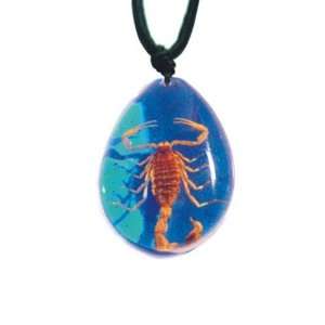  Ed Speldy East SP201 Real Bug Necklace Scorpion Large 