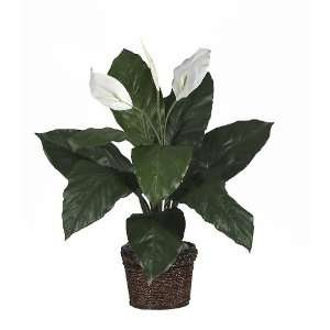  Spathiphyllum Silk Plant with Coiled Rope Wicker