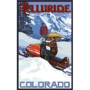  Northwest Art Mall Telluride Colorado Snowmobiling Artwork 