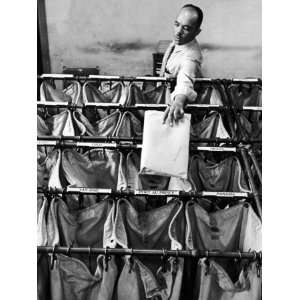  Man Sorting Mail in the State Dept. Building, Each Bag is 