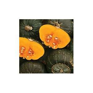   Davids Dakota Dessert Winter Squash   1 lb. Patio, Lawn & Garden