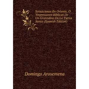   En La Tierra Santa (Spanish Edition) Domingo Arosemena Books
