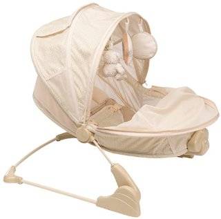 Eddie Bauer Soothing Comfort Bouncer   B is For Bear