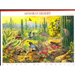 Sonoran Desert Nature of America Collectible Stamp Sheet by USPS