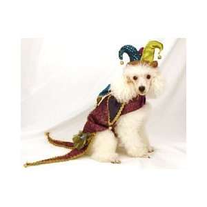  Beautiful Madri Gras Dog Costume   Katherines Collection 